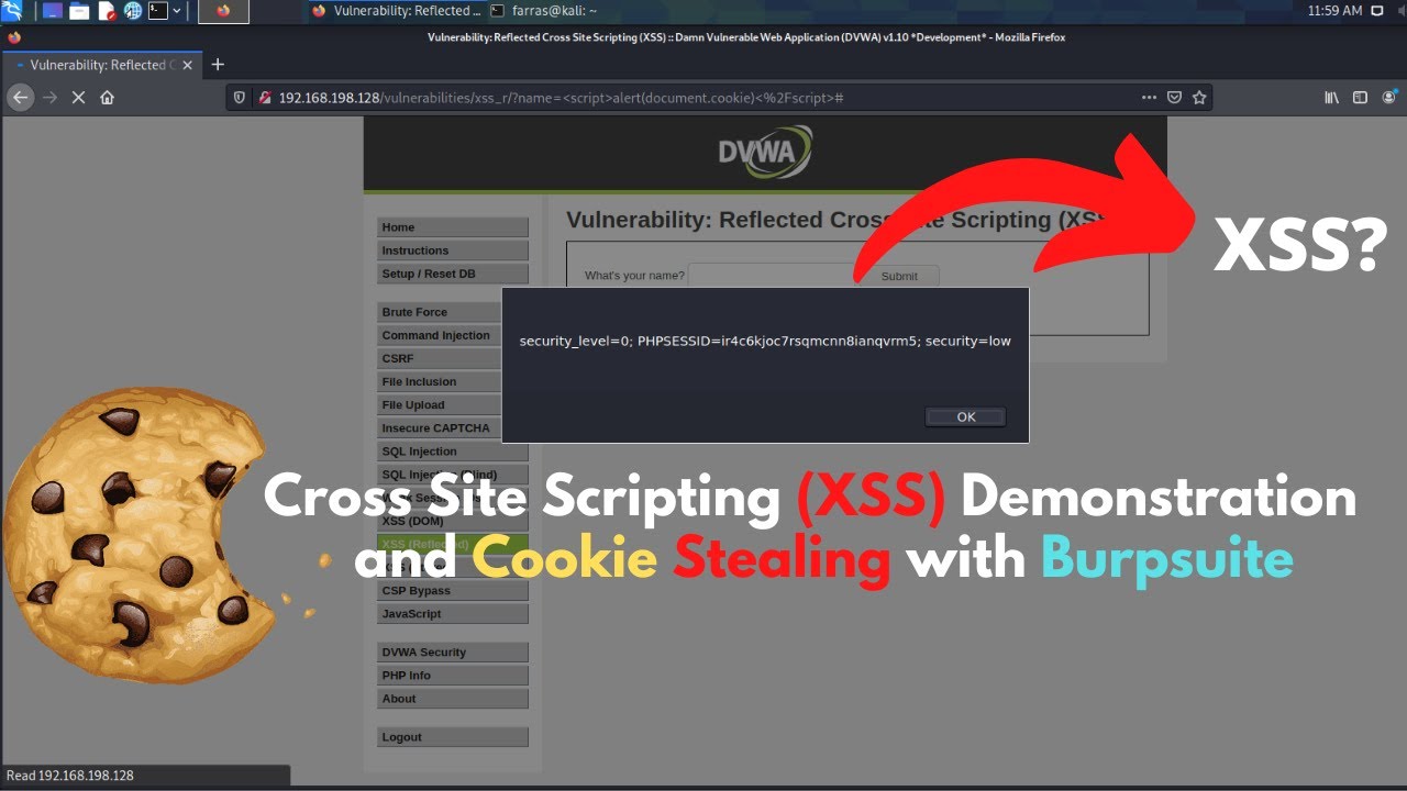 XSS Demo and Cookie Stealing with Burpsuite | Security Awareness