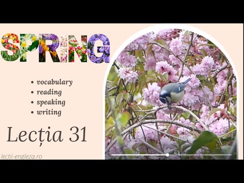Lectia 31 - Spring
