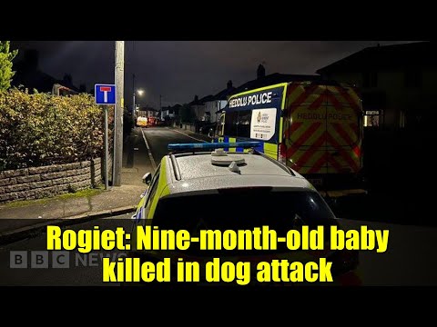 Rogiet: Nine-month-old baby killed in dog attack