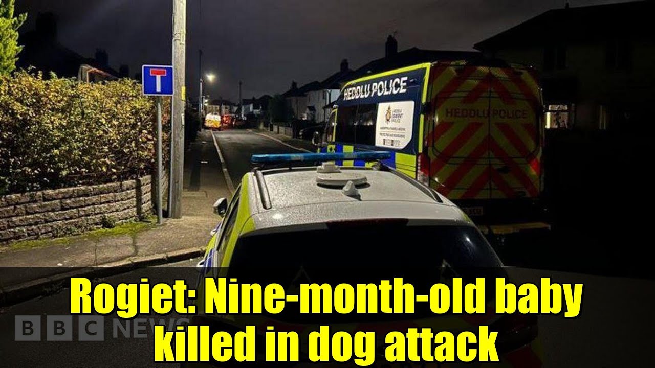 Tragic Incident: Nine-Month-Old Baby Dies in Dog Attack in Rogiet 🐶