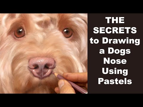 How to draw a realistic dog nose with PASTELS - Drawing tutorial | Pet portrait Artist
