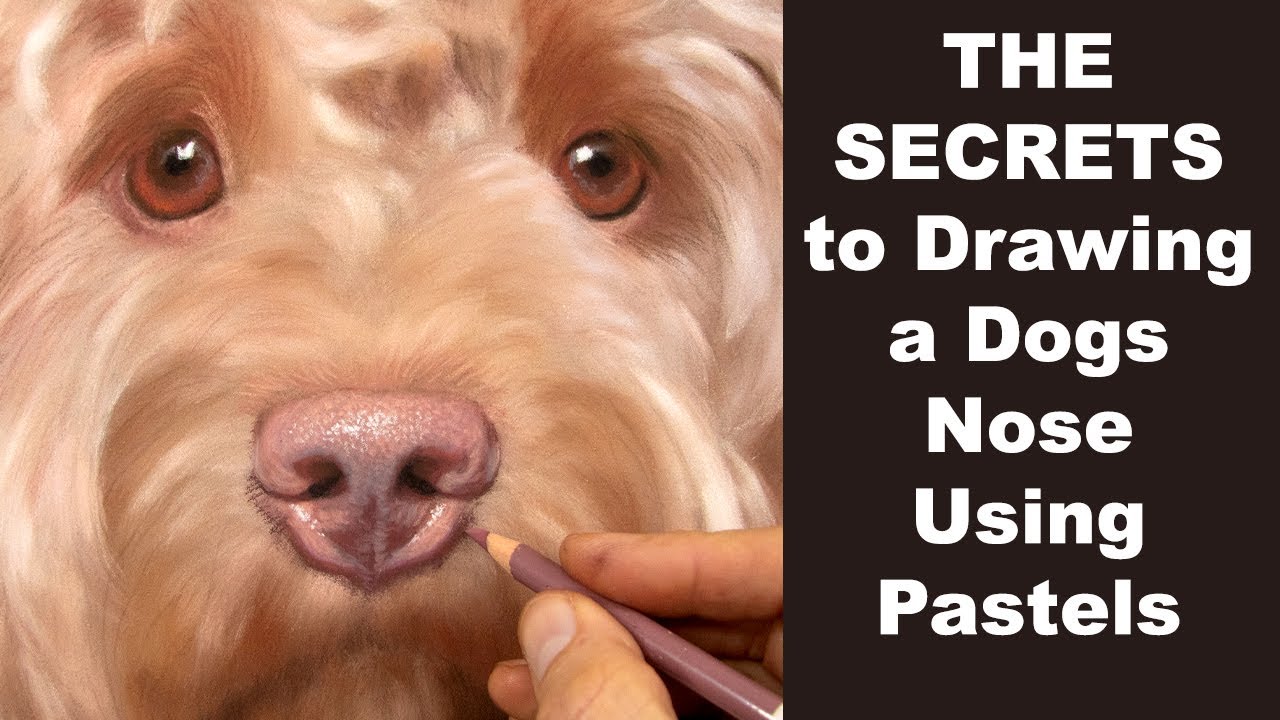 Drawing a Realistic Dog Nose with Pastels - Pet Portrait Tutorial