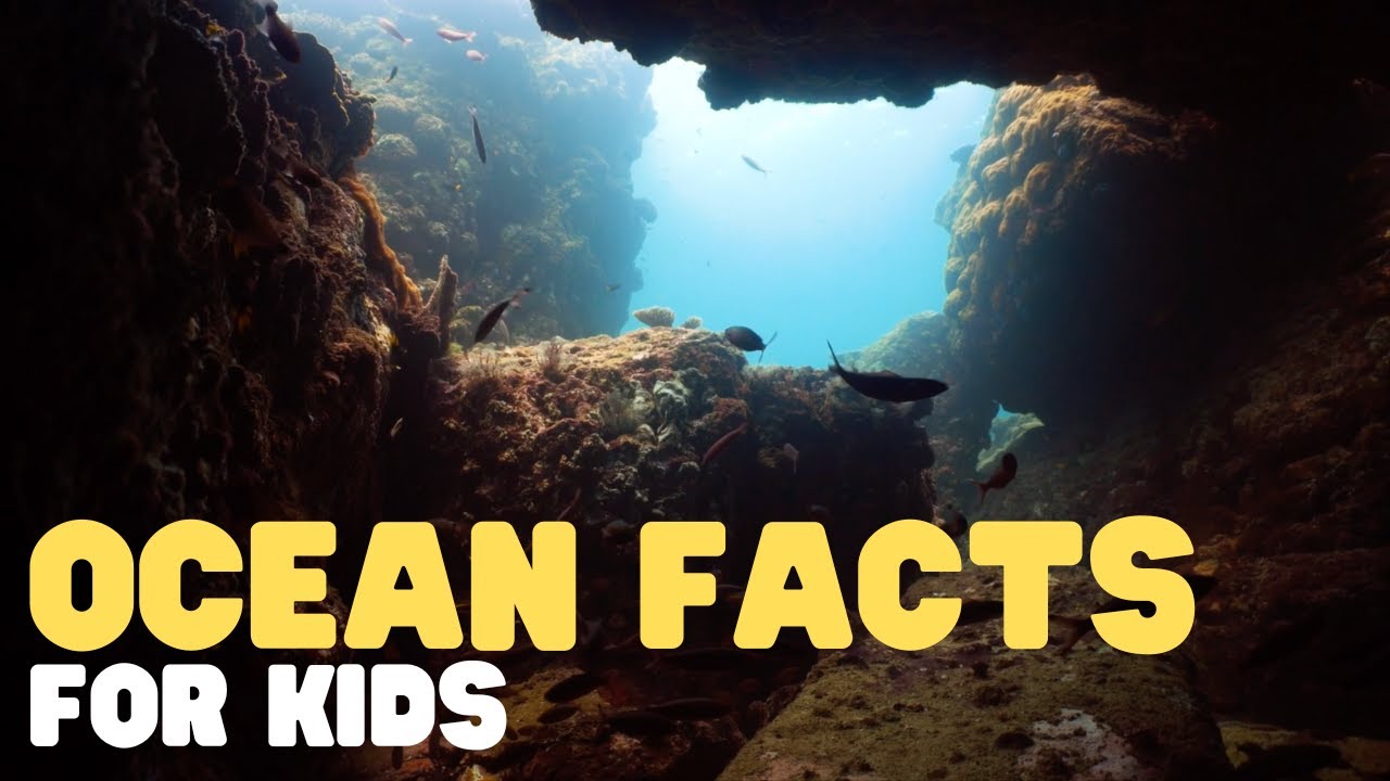 Ocean Facts for Kids 🌊 | Discover the World's Largest Pool
