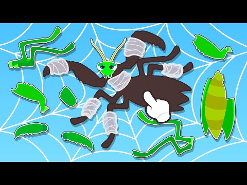 Candyko's Insect Puzzle Game 🧩| Learn Insects 🦋 | Puzzle Game for Kid | Lotty Friends