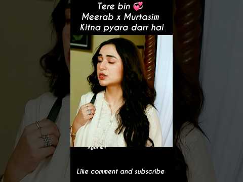 Tere bin ๐น๐ Meerab ko khone ka Darr ๐ Yumnazaidi x Wahajali #shorts #shortsfeed #terebin
