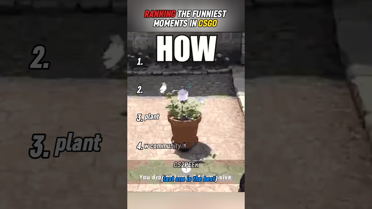 Top Funny Moments in CS:GO 🎮