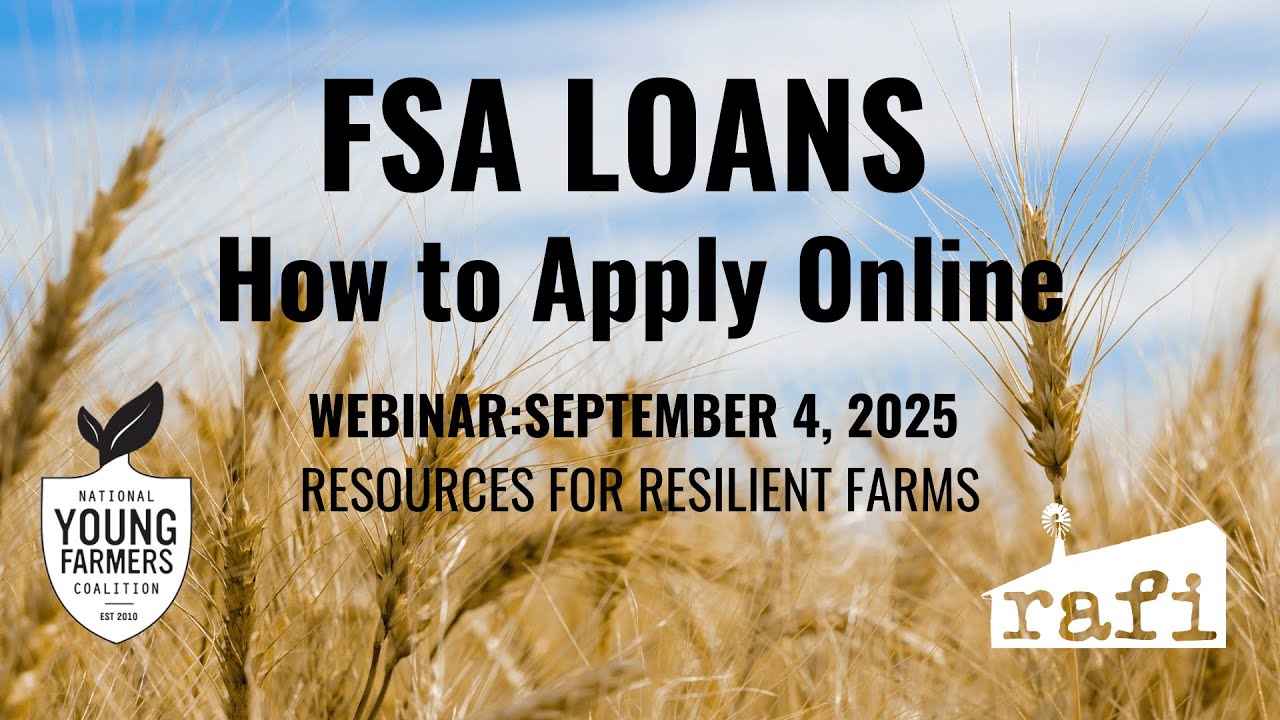 Guide to Applying for an FSA Loan Online 2025