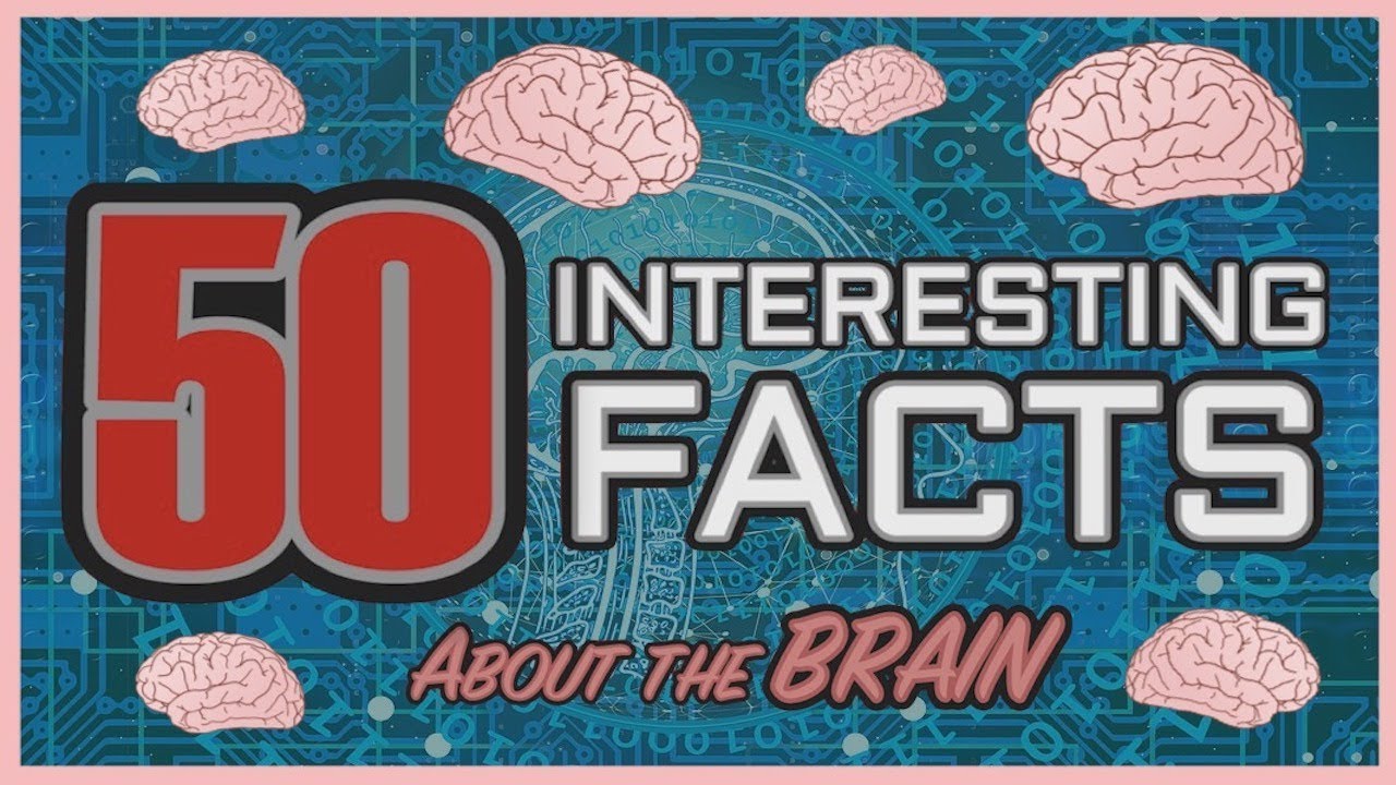 50 Fascinating Facts About the Human Brain 🧠