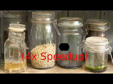 Week 3 Project (Efros-Leung Texture Synthesis)