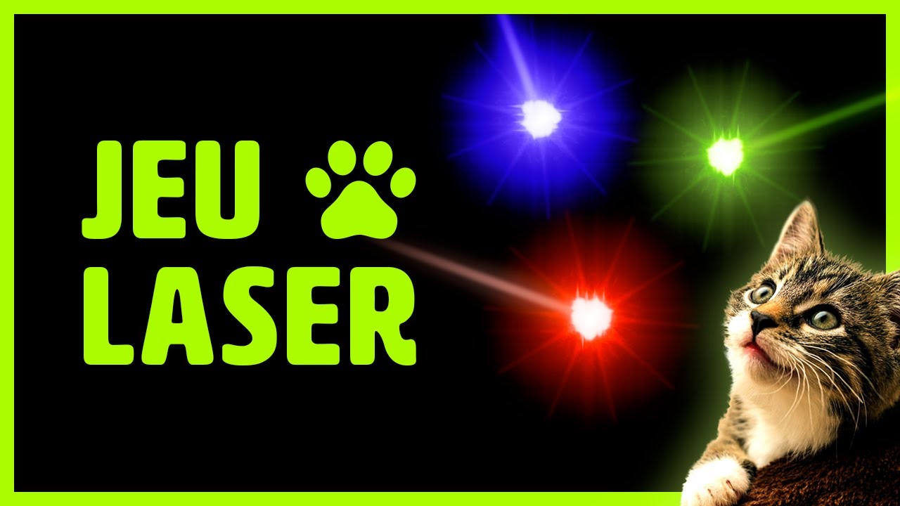 Jeu pour chat sur écran : LE LASER ! Vidéo pour amuser chats et chaton
