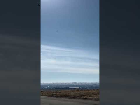 FMS Yak-130 and E-Flite F-16 are a fun pair!