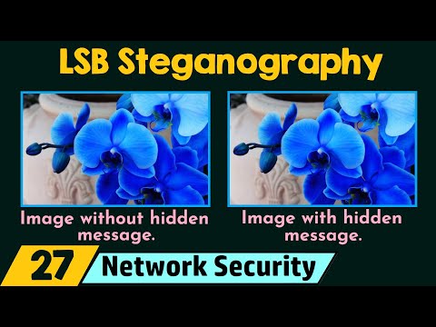 LSB Steganography - Demo