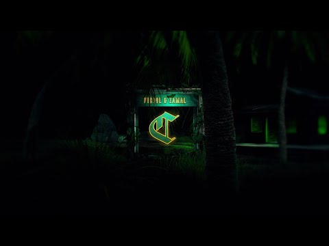 Ziak - Pistol & Zamal - Visualizer (Prod. Sam Tiba X Lowonstage)