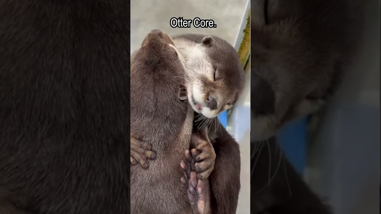 Otter Core