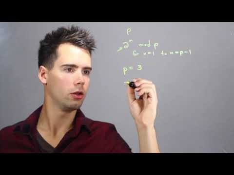 Guide to Solving for Primitive Roots 🔢