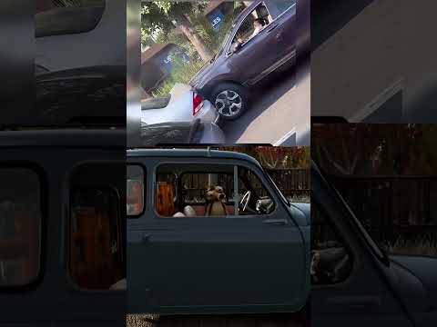 Спокойствие только спокойствие