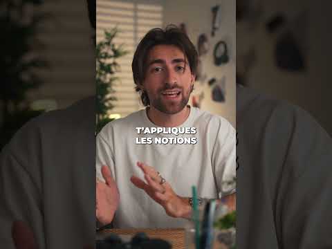 Les 3 types de cours à l’université 🧑🏫🎓