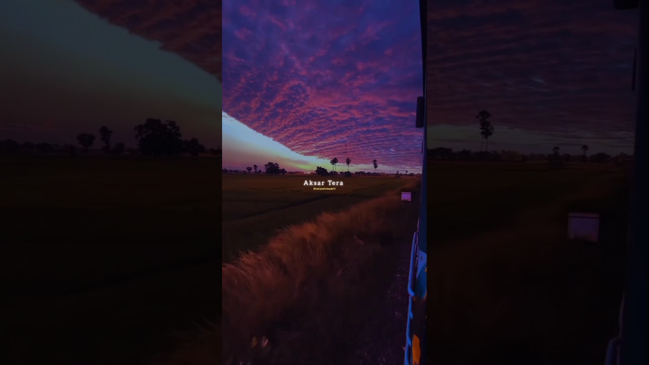 Bin Tere Kya Yara Mera | Beautiful Lyrics & Status ✨ #Shorts