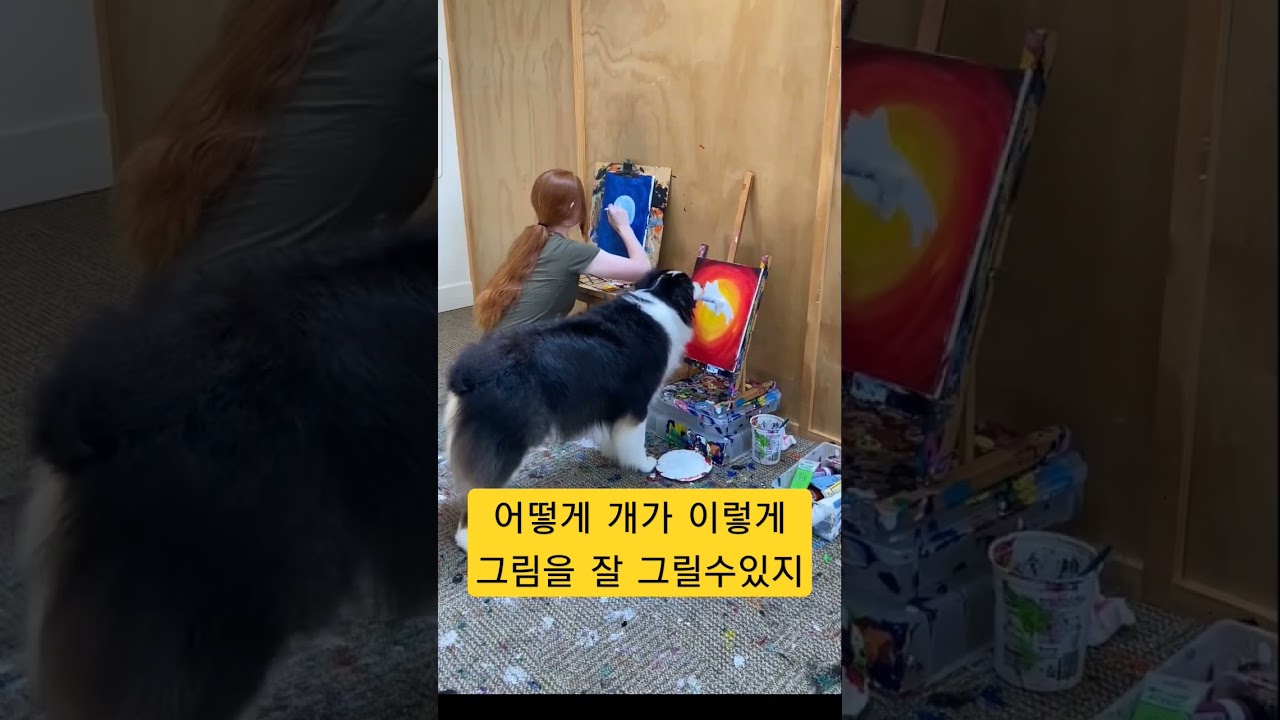 개가 그림을 잘 그리는 비밀은? 🎨