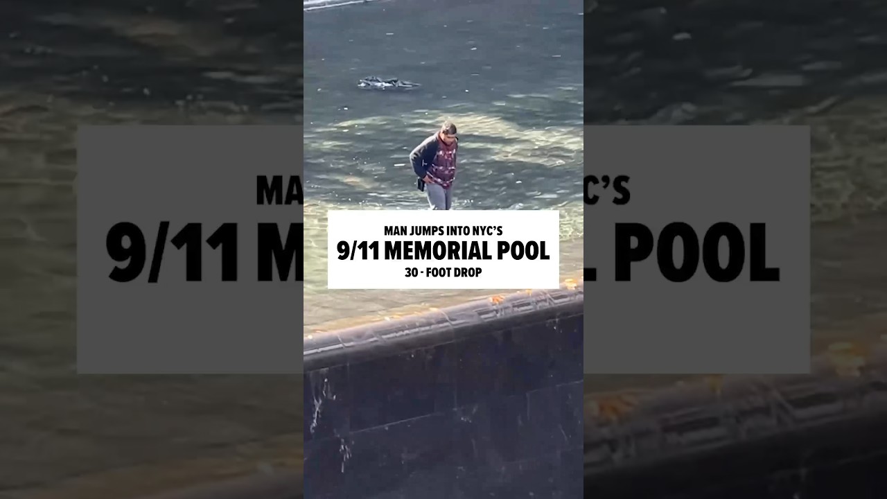 Man Jumps into Reflecting Pool at 9/11 Memorial in NYC