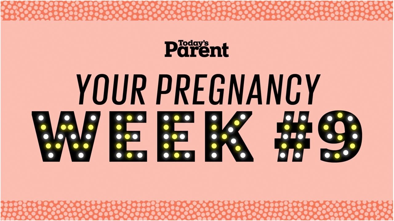 Your 9-Week Pregnancy: Baby's Growth 📏