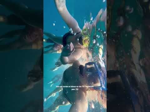 Le pays à visiter absolument #bonplanvoyage #travel #voyagepascher #vacances #plage #ete #egypte