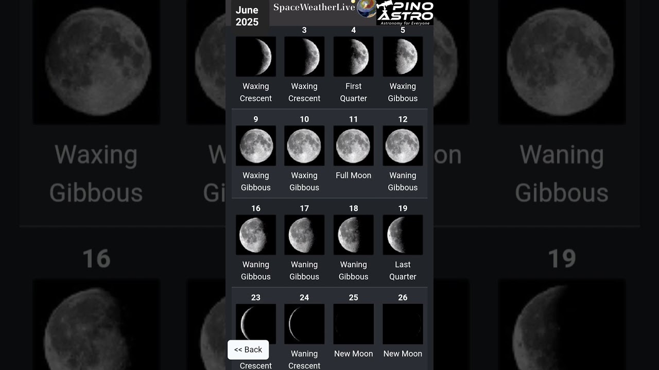 June 2025 Lunar Phases Calendar 🌕