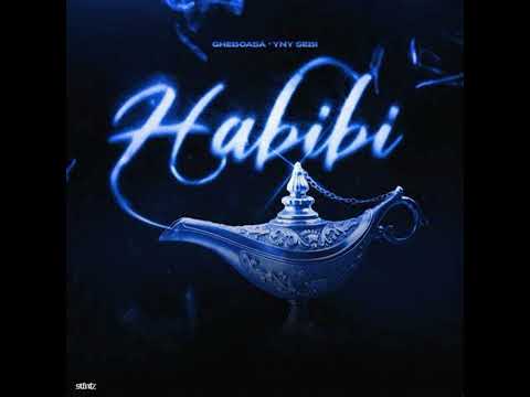 Gheboasa x @YNYSebi. - Habibi ( Official Video ) sped up