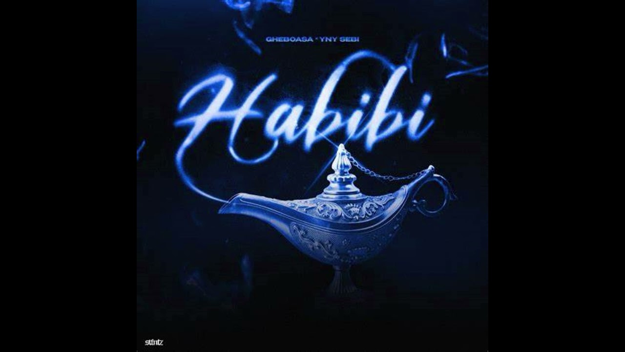 Gheboasa x @YNYSebi - Habibi (Official Video) | Fast Version 🎶