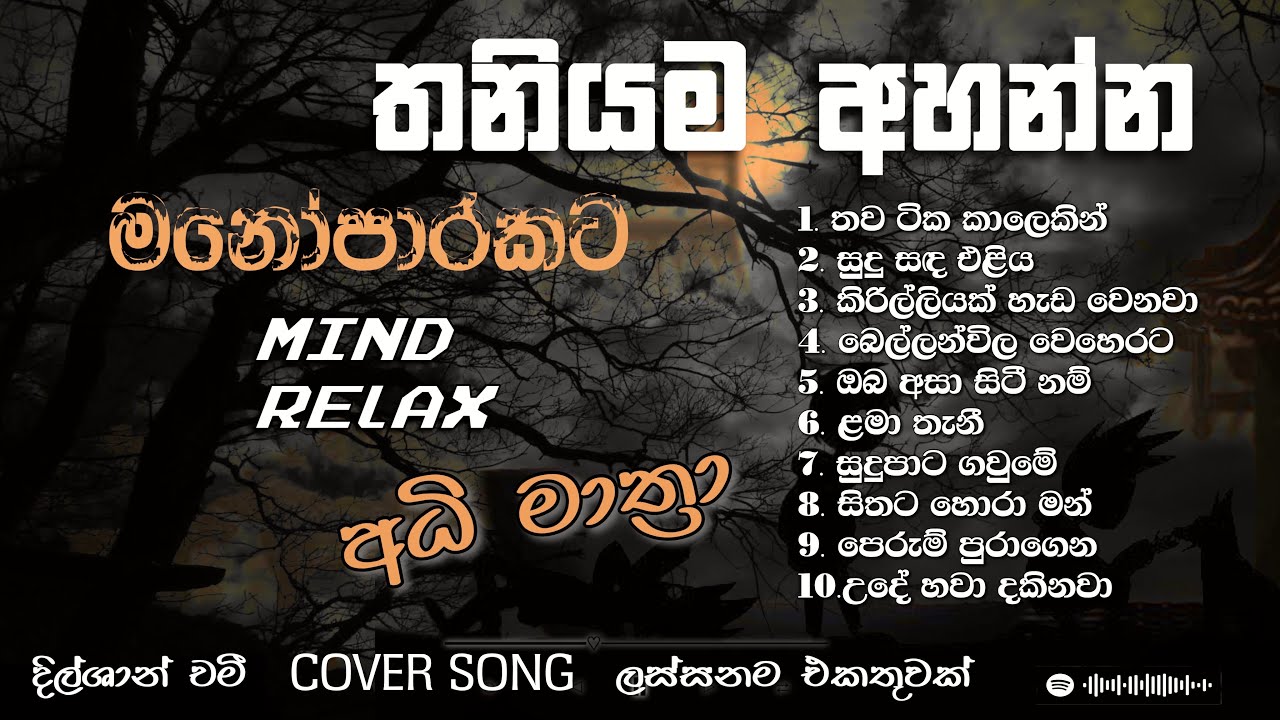 Relaxing Manoparakata Collection Vol 4 🎶 | Soothing Songs by Dilshan Rathnayaka