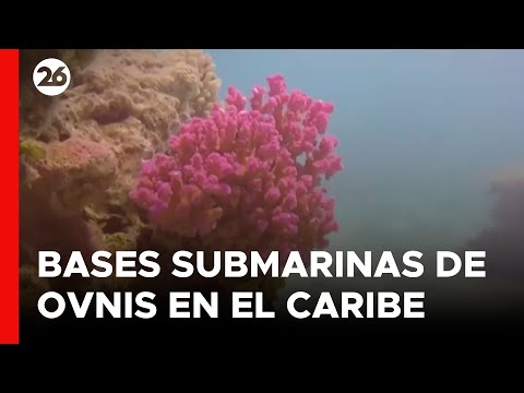 ¿Podrían los extraterrestres esconderse en las profundidades oceánicas?