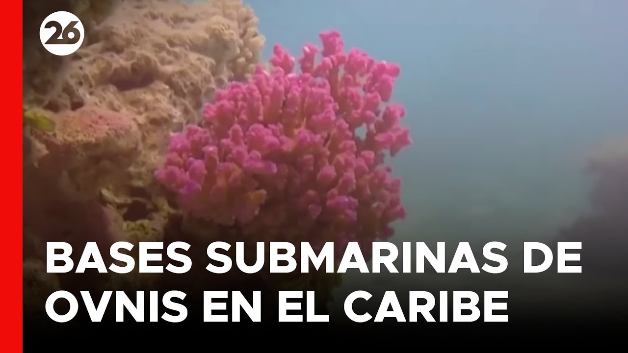 ¿Podrían los extraterrestres esconderse en las profundidades oceánicas?