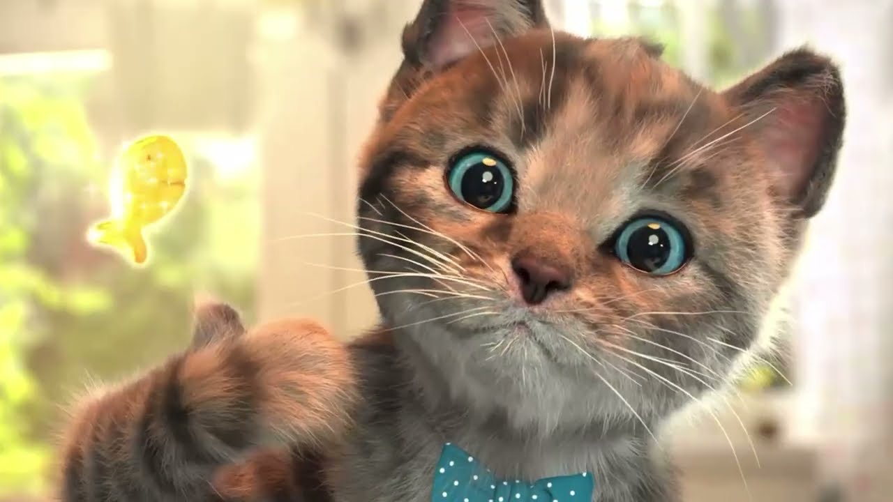 Cute Kitten & Cat Adventure | Fun Pet Care Game 🐱