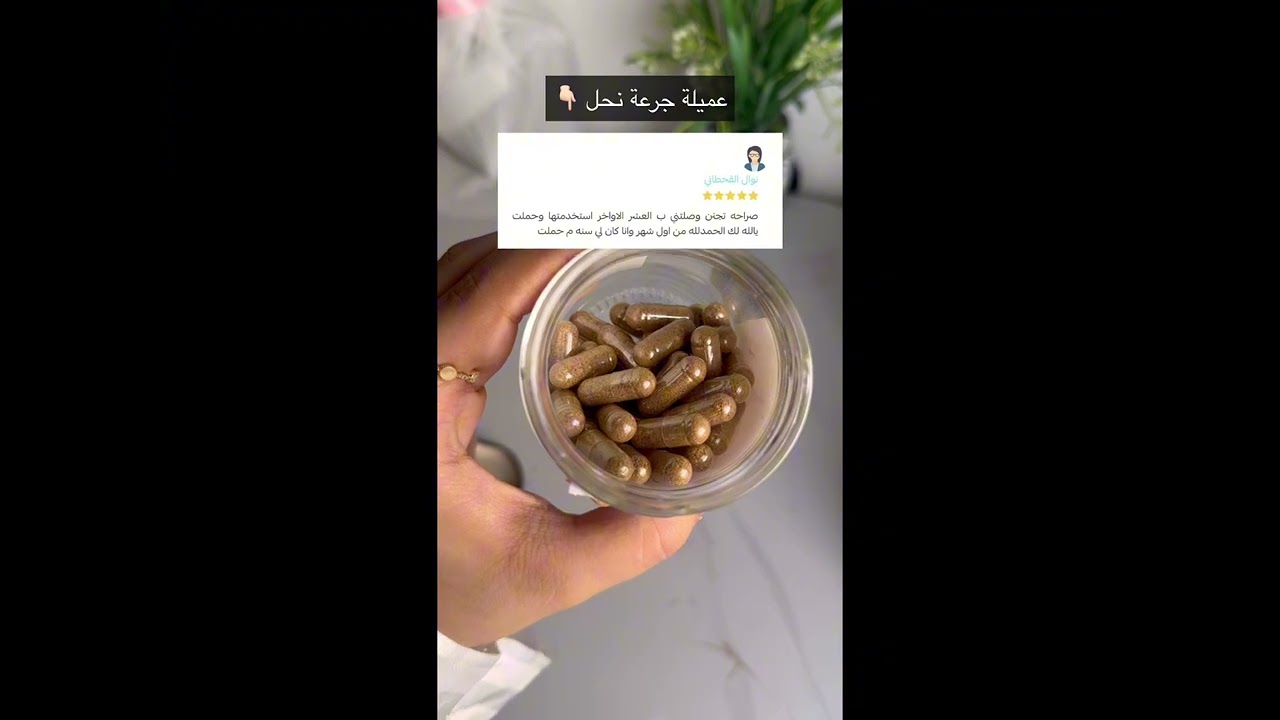 كبسولات القسط الهندي: سر الصحة والتوازن الطبيعي 🌿