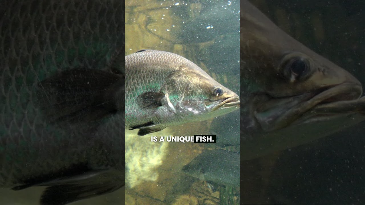 8 Amazing Animal Secrets You Must Know 🐾