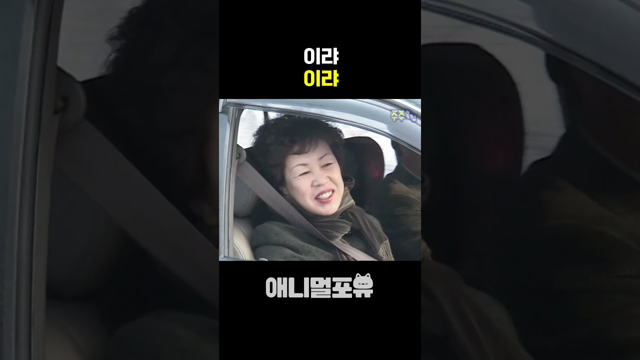이랴~이랴~ 기분 좋은 하루 시작 🎶