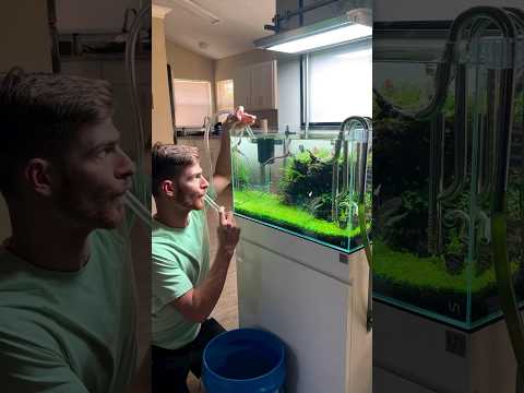 Stop using your mouth to start the suction #shorts #aquarium