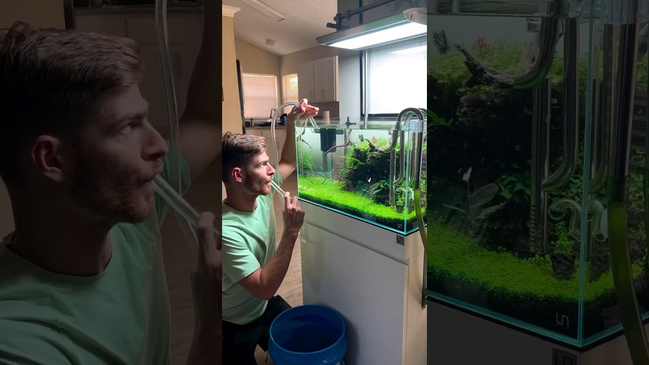 Avoid Using Your Mouth to Start Aquarium Suction 🚫