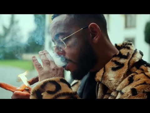 Lacrim - c'est ma vie ft. Mister You
