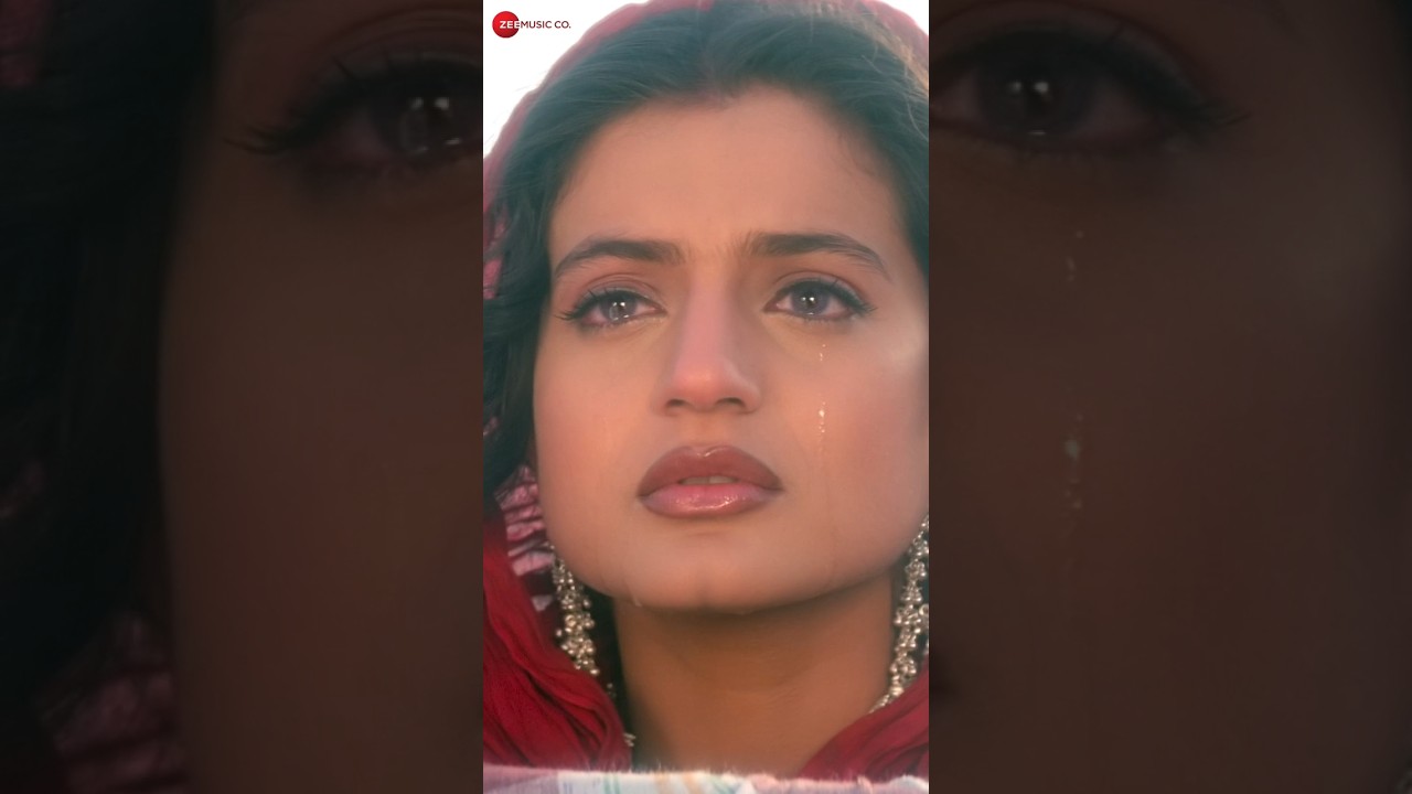 Gadar: Musafir Jaane Wale Re-Release 🎬 | Sunny Deol & Ameesha Patel in Action!