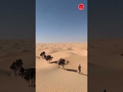 Have you considered Tunisia? 🇹🇳Book your trip to Tunisia with us today.