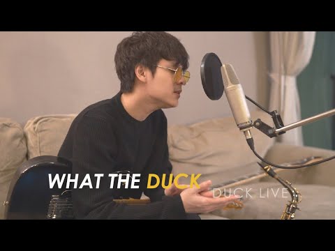 Duck Live 36 - THE TOYS - Stars Live in THE TOYS's Living Room