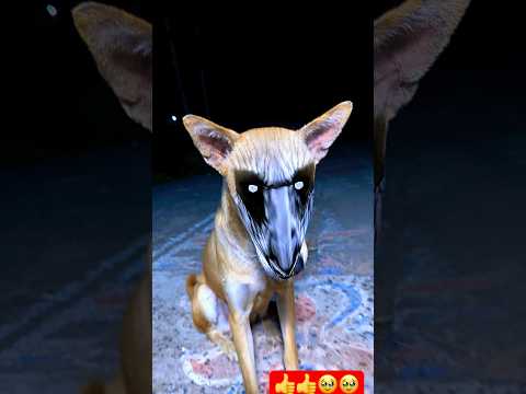 Bhoot Ki Reels Dekhne ki Side Effect Dekho 😱 #shorts #trending #viral #youtubeshorts #bhoot #funny