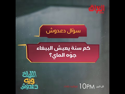 كم سنة يعيش الببغاء جوّه الماي؟