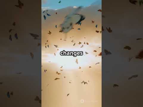 Chaos Theory  The Magic of Logistic Maps (x_((n+1)  )=r*x_n (1-x_n ) #maths  #mathematics #chaos