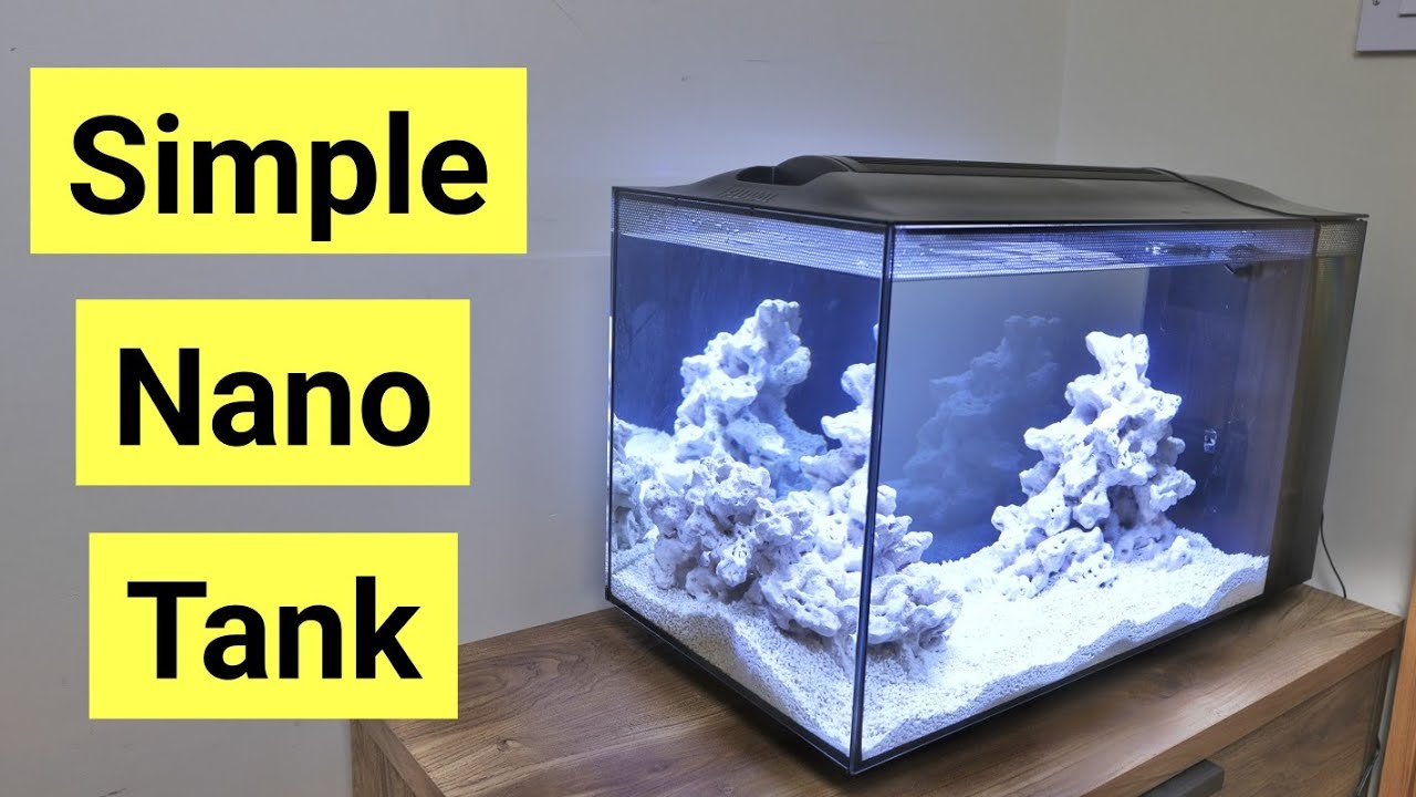 Easy Beginner’s Guide to Setting Up a Saltwater Tank Without a Skimmer 🐠