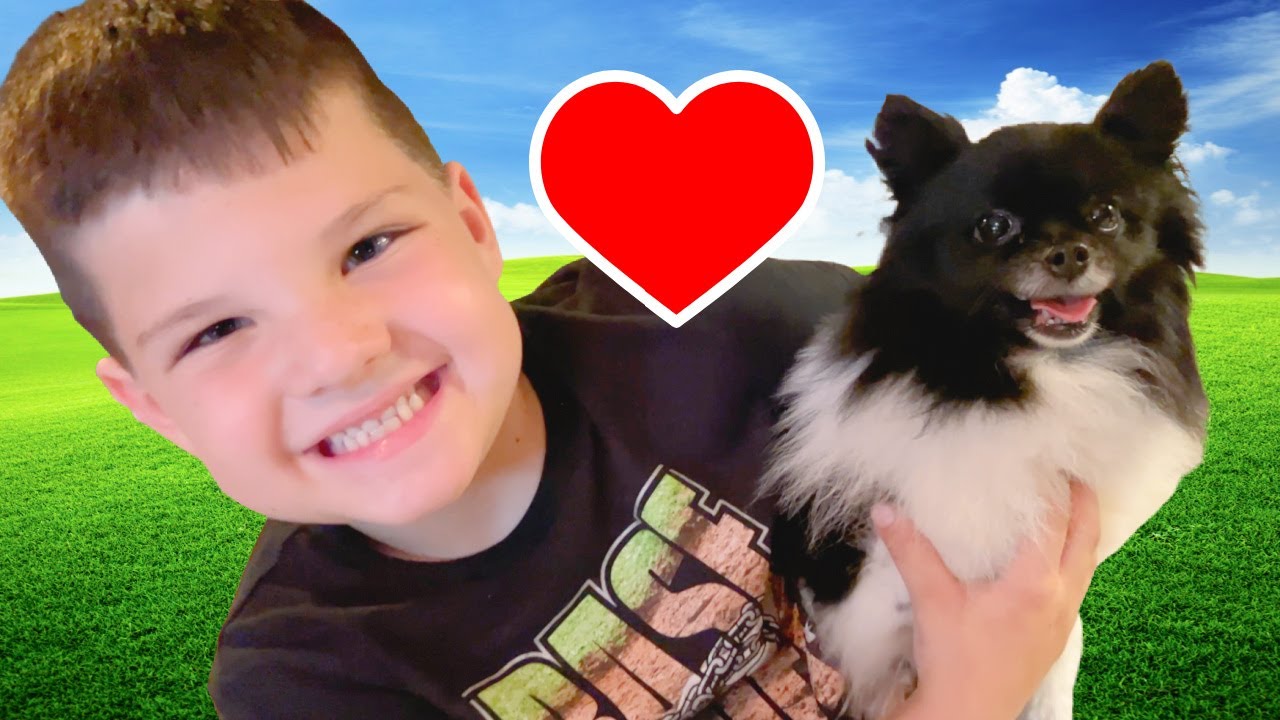 Adorable Puppy Adventure! Caleb Learns to Care for Grandma's New Tiny Dog 🐶