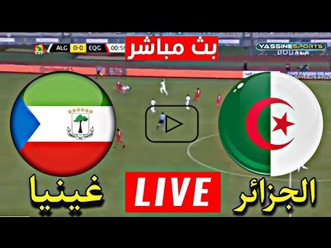مباراة الجزائر وغينيا الاستوائية بث مباشر ⚽