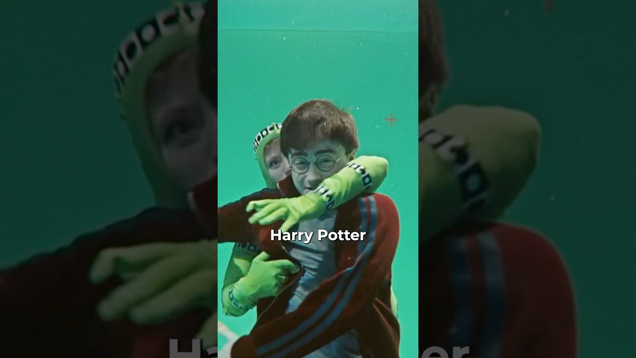 Harry Potter's Wildest Production Ideas ✨