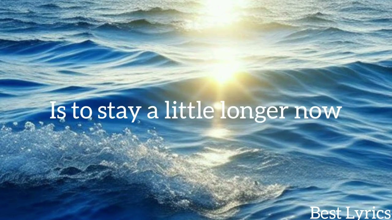 Mike Perry & Shy Martin - The Ocean (Lyrics) 🌊